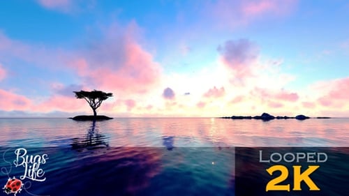 Serene Sunset Over Ocean with Lone Tree on Island Loop