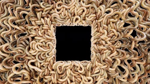 Porte-logo carré en bois pour nouilles et pâtes