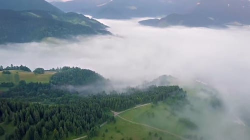 Green Forest Country