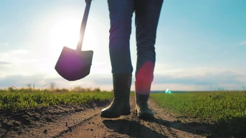 Concept d'agriculture agricole