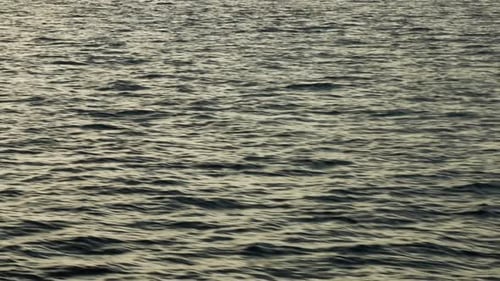 Sunlight On The Water