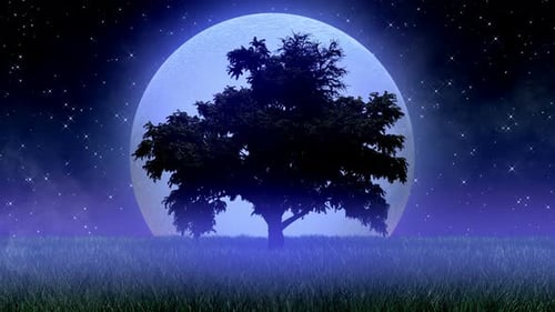 Dreamy Night Sky with Lone Tree and Glowing Moon Animation