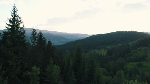 Haze Over a Mountain Forest