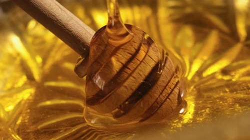 Honey Dipper with Dripping Honey Close-Up
