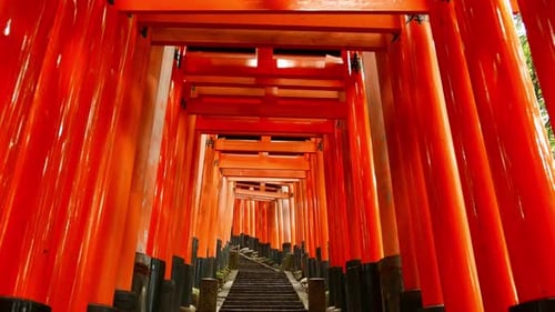 Les portes de Torii glissent à Kyoto