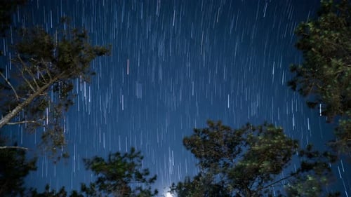 Star Trails