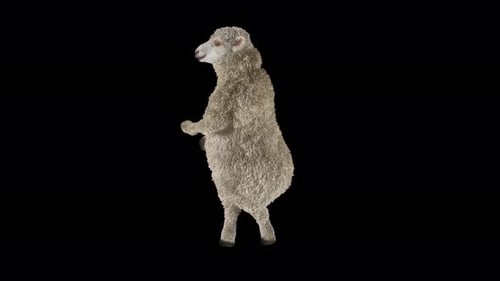 3D Animated Sheep Dancing on Black Background