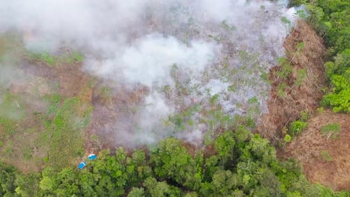 Manmade Forest Fire on Farmland