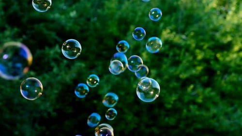 Soap bubbles close-up on green foliage background.Summer season