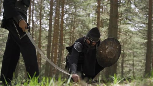 Sword and shield.