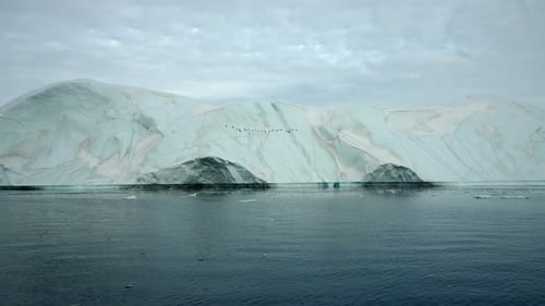 Flock Of Birds Flying Over Sea By Iceberg