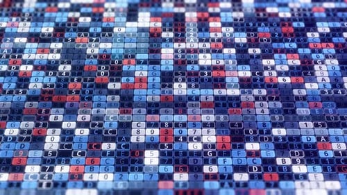 Système de traitement numérique sur ordinateur