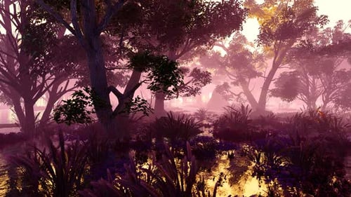 Wetland With Plants