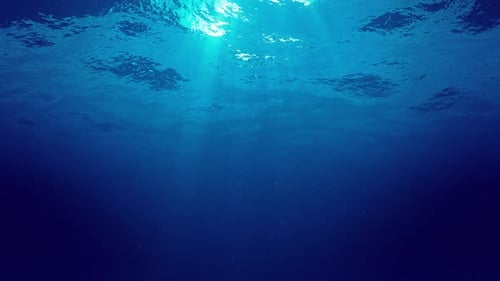 Underwater Background