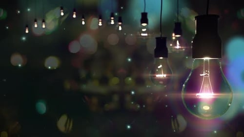 New Year Garland and Light Bulbs Against Blurred Flares on the New Year Tree