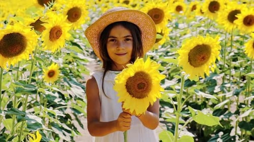 A Child in a Field of Sunflowers