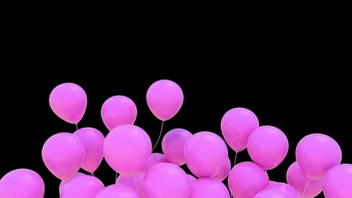 Pink Party Balloons Rising Alpha Channel Transition