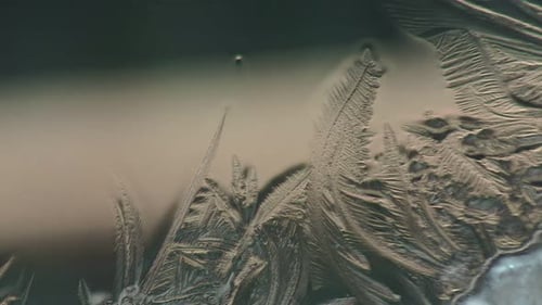 Intricate Ice Crystals Forming on a Window