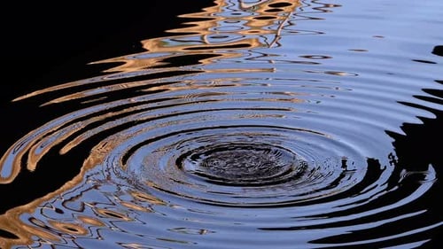 Water Drops And Waves On Lake Water 5