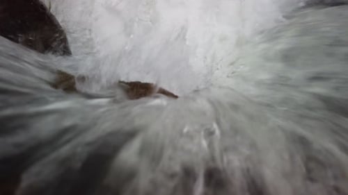 Corriente de
agua clara del río. Río rápido con caída de agua