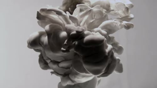 Black Ink Spreading Slowly in Water