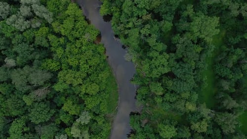 Aerial View of the Beautiful Landscape the River Flows Among the Green Deciduous Forest
