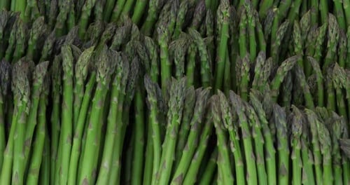 Asparagus,also known as garden asparagus A bundle of cultivated asparagus