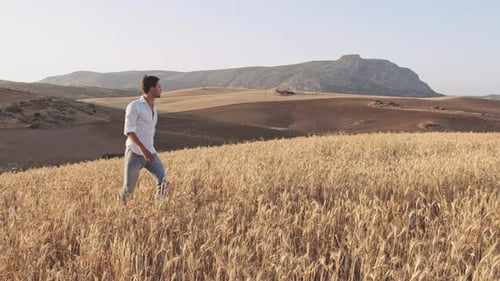 Modelo masculino bonito andando no meio de prados abertos