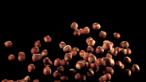 Super Slow Motion Ripe Hazelnuts Rise Up and Fall