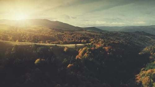 Majestic Forest Hill Surface Landscape Aerial View