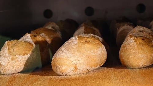 Crusty Bread Loaves Baking in Oven