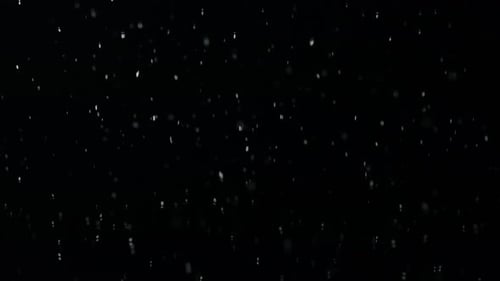Serene Snowfall Against Black Background