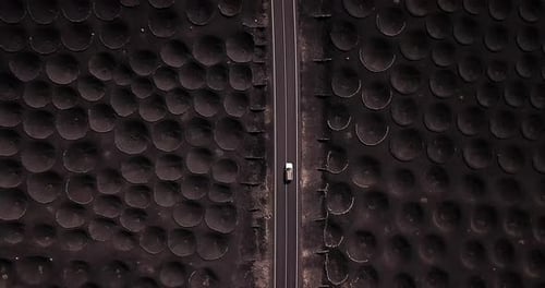 Above landscape view of black sand gound for volcanic vineyard and long straight road