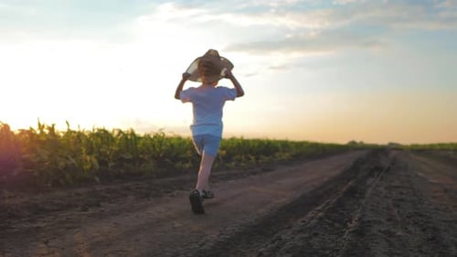 A Little Boy in a Hat Run Through a Cornfield