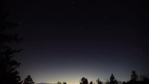 Ein atemberaubender Zeitraffer der Sterne, die sich nachts über Bäume bewegen, und Sternschnuppen im Hintergrund.