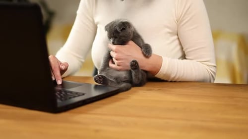 Woman Wear Comfy Style arbeitet an einem schwarzen Notebook-Laptop und Kitten liegt auf dem Tisch