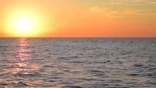 Meer