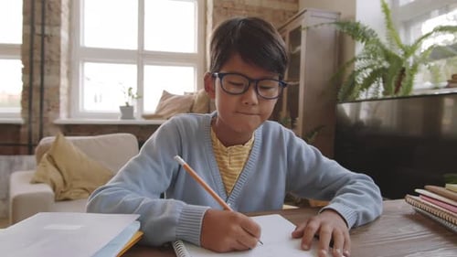 Boy Doing Homework at Desk Indoors