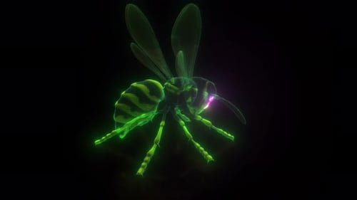 Futuristic Holographic Wasp 3D Animation Loop