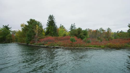 Scenic Lake Shoreline in Autumn