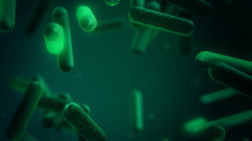 Animated Microscopic Bacteria Cells Floating in Green Fluid
