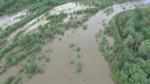 Flooding of the forest on the coast of wide river 4K aerial video