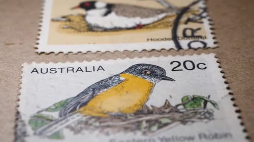 Close Up of Australian Bird Postage Stamps