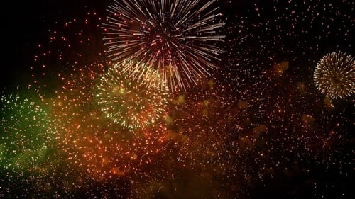 Fireworks Explode in the Night Sky