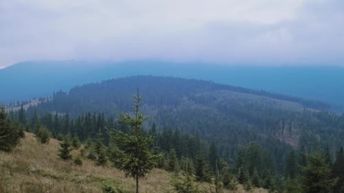 Beautiful view on mountains at sunrise