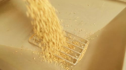 Automatic Machine for Crushing Malt Into Powder