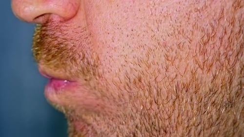 The Man Who Puts Baklava in His Mouth with a Fork