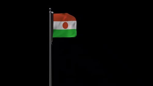 Realistic 3D Waving Flag of Niger Animation