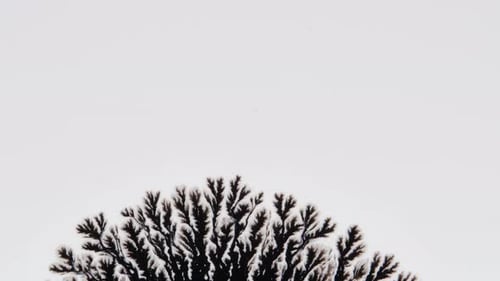 Black Ink Spreading on Light Background