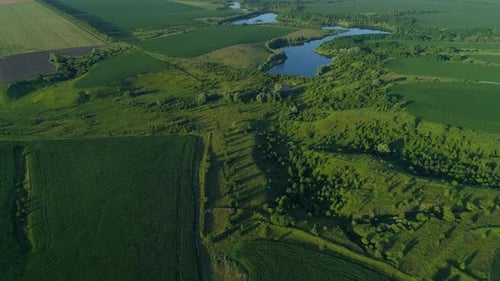 Aerial View Beautiful Landscape in Summer Drone Flying Over Field in Sunny Day